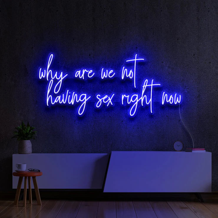 WHY ARE WE NOT HAVING SEX RIGHT NOW- Neon Sign